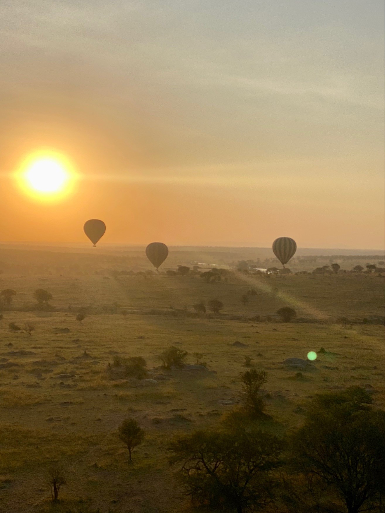 Hot air balloons 